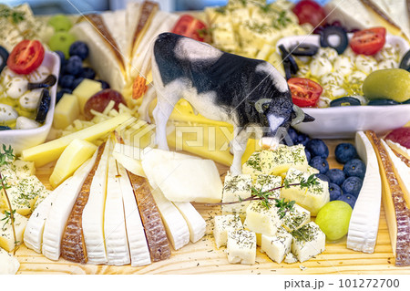 Various sliced cheeses on wooden table. Figurine of cow in the middle of slices of cheese. 101272700