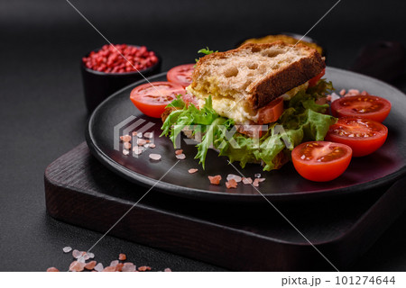 Delicious caprese sandwich with grilled toast, mozzarella, lettuce and tomatoes Delicious caprese sandwich with grilled toast, mozzarella, lettuce and tomatoes 101274644