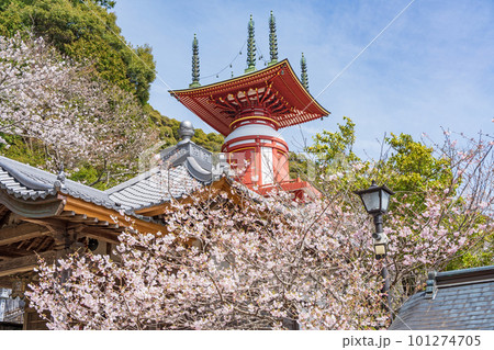 【第23番札所】春の薬王寺 瑜祇塔【四国八十八箇所】 【第23番札所】春の薬王寺 瑜祇塔【四国八十八箇所】 101274705