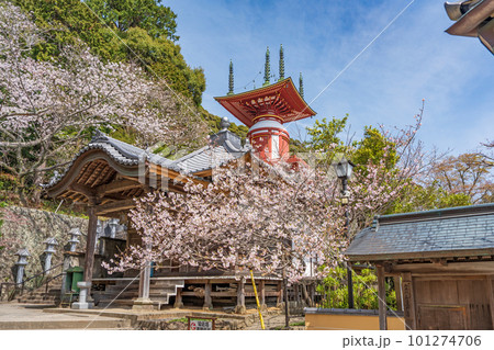 【第23番札所】春の薬王寺 瑜祇塔【四国八十八箇所】 【第23番札所】春の薬王寺 瑜祇塔【四国八十八箇所】 101274706