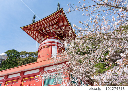 【第23番札所】春の薬王寺 瑜祇塔【四国八十八箇所】 【第23番札所】春の薬王寺 瑜祇塔【四国八十八箇所】 101274713