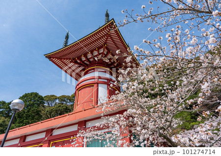 【第23番札所】春の薬王寺 瑜祇塔【四国八十八箇所】 【第23番札所】春の薬王寺 瑜祇塔【四国八十八箇所】 101274714