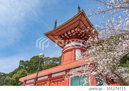 【第23番札所】春の薬王寺　瑜祇塔【四国八十八箇所】 101274715