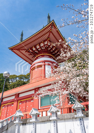 【第23番札所】春の薬王寺　瑜祇塔【四国八十八箇所】 101274719
