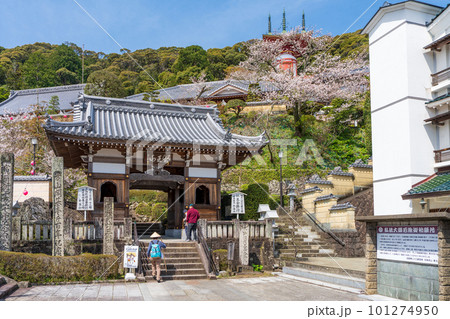 【第23番札所】春の薬王寺　仁王門【四国八十八箇所】 101274950