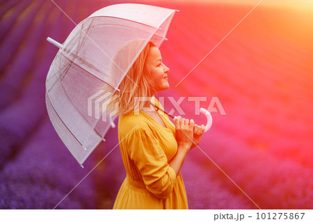 A middle-aged woman in a lavender field walks under an umbrella on a rainy day and enjoys aromatherapy. Aromatherapy concept, lavender oil, photo session in lavender 101275867