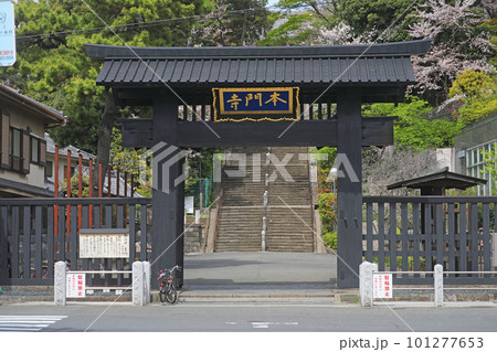 池上本門寺 総門 池上本門寺 総門 101277653