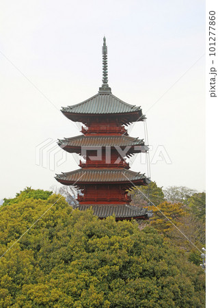 池上本門寺　五重塔 101277860