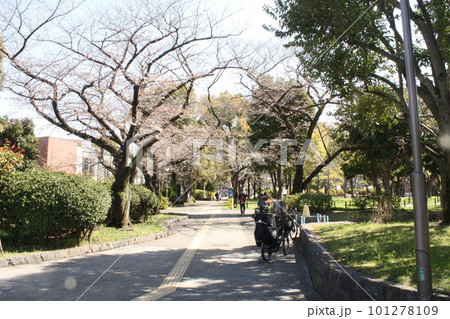 南砂町三丁目公園　南砂町駅 101278109