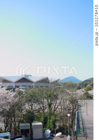 青空の北九州市立総合体育館と桜 (縦位置) 青空の北九州市立総合体育館と桜 (縦位置) 101278410