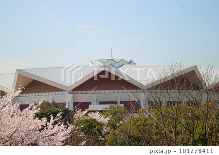 青空の北九州市立総合体育館と桜 青空の北九州市立総合体育館と桜 101278411