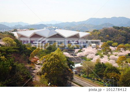 北九州市立総合体育館と桜 北九州市立総合体育館と桜 101278412