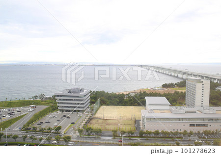 大阪府泉大津市内／大阪府泉大津市りんくう往来南 101278623