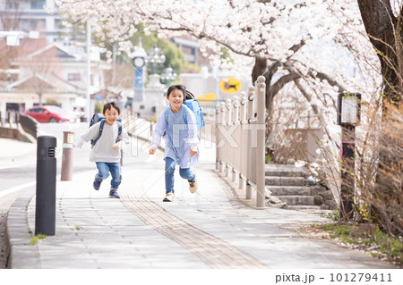 桜の下を歩く小学生 　cherry blossoms 101279411