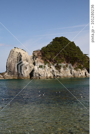 春の浄土ヶ浜 101280236