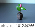 椿の蕾 101280266