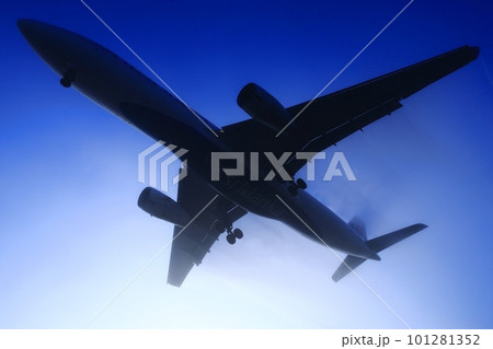 視界不良のなかの着陸 視界不良のなかの着陸 101281352