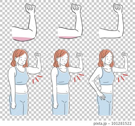 二の腕の太さ3パターンの女性のイラスト素材 二の腕の太さ3パターンの女性のイラスト素材 101281522