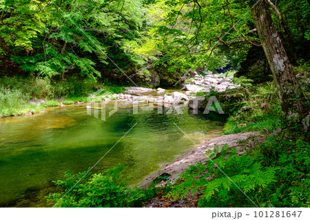新緑の奥津渓 新緑の奥津渓 101281647