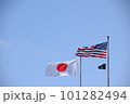 青空にはためく日米の国旗 101282494