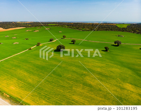 Aerial drone view. Castilla-La Mancha agricultural green fields Aerial drone view. Castilla-La Mancha agricultural green fields 101283195