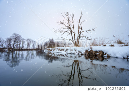 Take in the serene vistas of snow-covered trees and pristine snowscapes. 101283801