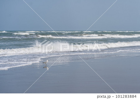 Seascape in blue tones. Beautiful sea background. 101283884