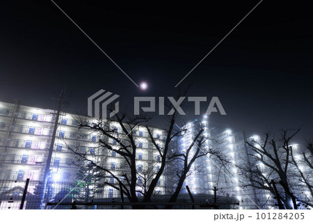 朝露に差し込む光「木々がそびえる家のベランダ」 朝露に差し込む光「木々がそびえる家のベランダ」 101284205