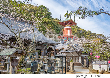 【第23番札所】春の薬王寺 本堂 瑜祇塔【四国八十八箇所】 【第23番札所】春の薬王寺 本堂 瑜祇塔【四国八十八箇所】 101285052