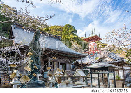 【第23番札所】春の薬王寺　魚籃観音　本堂　瑜祇塔【四国八十八箇所】 101285258