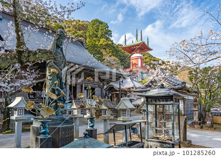 【第23番札所】春の薬王寺 魚籃観音 本堂 瑜祇塔【四国八十八箇所】 【第23番札所】春の薬王寺 魚籃観音 本堂 瑜祇塔【四国八十八箇所】 101285260