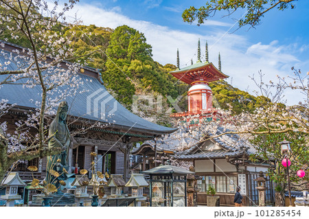 【第23番札所】春の薬王寺　魚籃観音　本堂　瑜祇塔【四国八十八箇所】 101285454