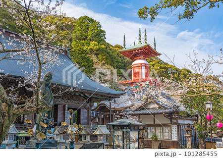 【第23番札所】春の薬王寺　魚籃観音　本堂　瑜祇塔【四国八十八箇所】 101285455