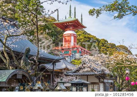 【第23番札所】春の薬王寺 魚籃観音 本堂 瑜祇塔【四国八十八箇所】 【第23番札所】春の薬王寺 魚籃観音 本堂 瑜祇塔【四国八十八箇所】 101285456