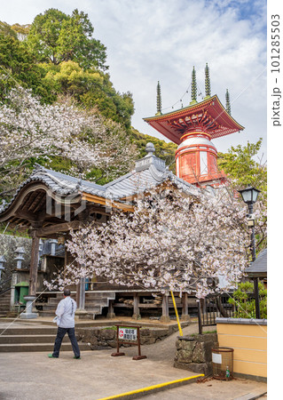 【第23番札所】春の薬王寺 瑜祇塔【四国八十八箇所】 【第23番札所】春の薬王寺 瑜祇塔【四国八十八箇所】 101285503