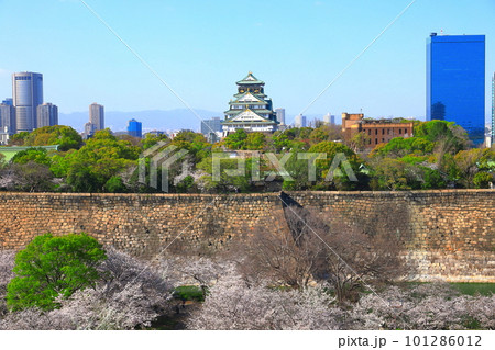 【大阪府】桜が満開の大阪城公園 【大阪府】桜が満開の大阪城公園 101286012