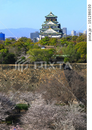 【大阪府】桜が満開の大阪城公園 【大阪府】桜が満開の大阪城公園 101286030