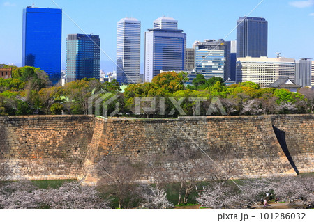 【大阪府】桜が満開の大阪城公園と大阪ビジネスパーク 101286032