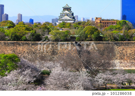 【大阪府】桜が満開の大阪城公園 101286038