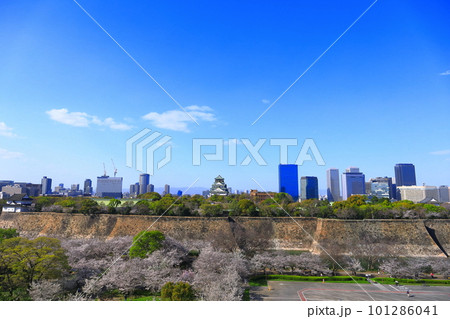 【大阪府】桜が満開の大阪城公園 【大阪府】桜が満開の大阪城公園 101286041