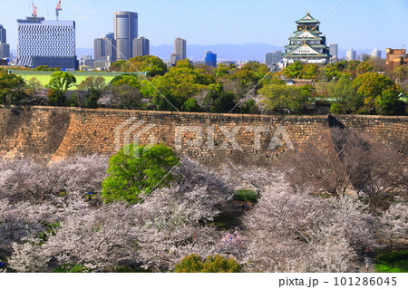 【大阪府】桜が満開の大阪城公園 【大阪府】桜が満開の大阪城公園 101286045