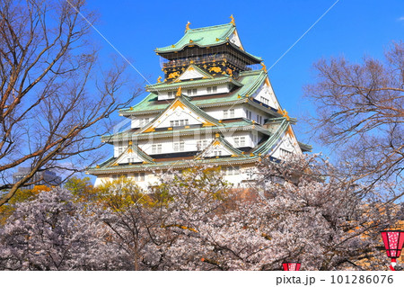 【大阪府】満開の桜と大阪城 101286076