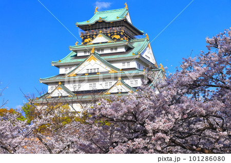 【大阪府】満開の桜と大阪城 101286080