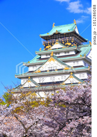 【大阪府】満開の桜と大阪城 101286088