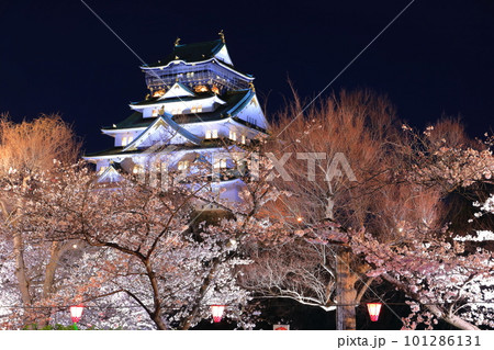 【大阪府】満開の夜桜の大阪城 101286131