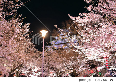 【大阪府】満開の夜桜の大阪城 101286139