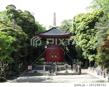池上本門寺の多宝塔 池上本門寺の多宝塔 101286342
