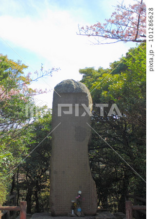 手向山 宮本武蔵の顕彰碑文 石碑と桜 101286628