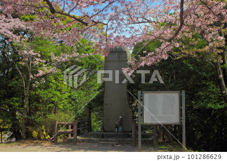 手向山 宮本武蔵の顕彰碑文 石碑と桜 手向山 宮本武蔵の顕彰碑文 石碑と桜 101286629