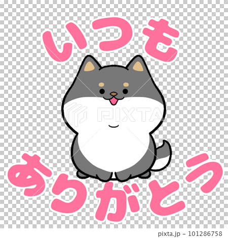 黑柴犬和“永遠謝謝你”的話 101286758
